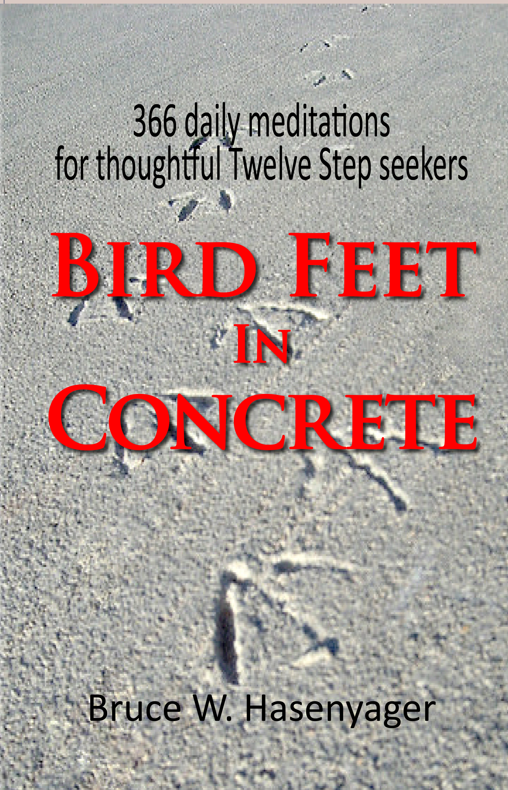 Bird Feet in Concrete